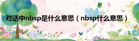 nbsp 意思